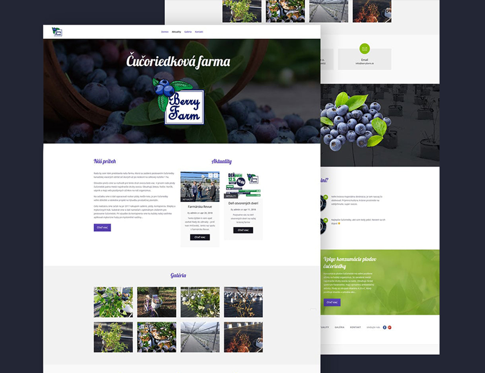 berry farm web dizajn